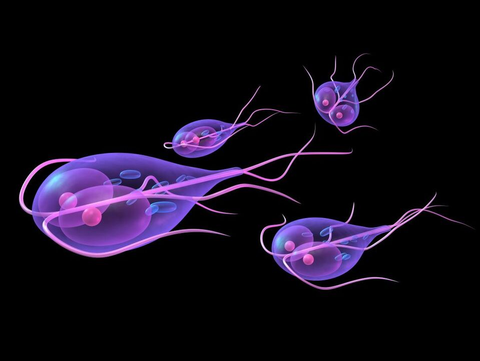 Giardia inimese kehast